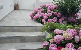 Apartment Areti